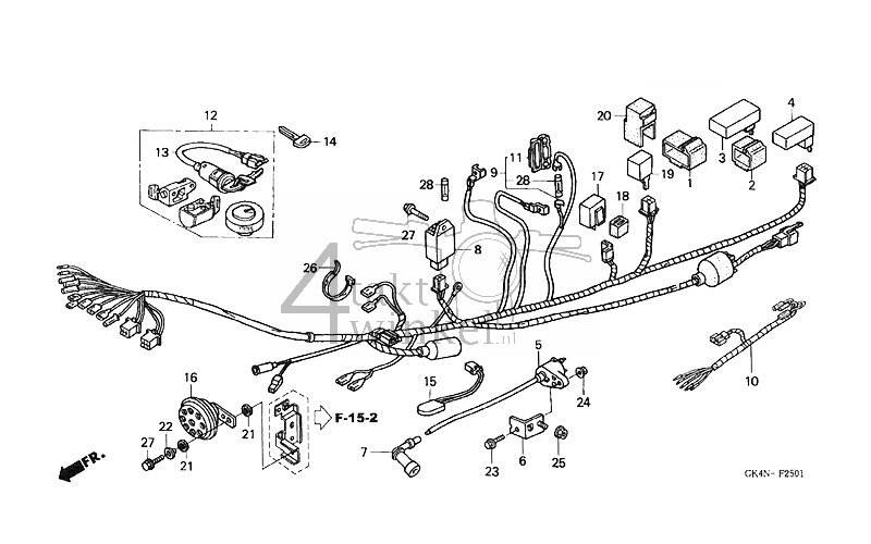 F25-1 - Wire Harness