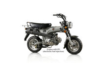 SOLD OUT! Skymax Club, EFI, 50cc, Euro4, Gray