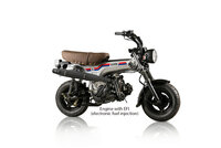 SOLD OUT! Skymax Limited Barn, EFI, 50cc, Euro4, 25km