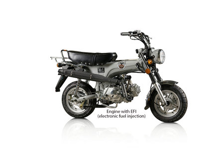 SOLD OUT! Skymax Club, EFI, 50cc, Euro4, Gray - 4taktwinkel.nl