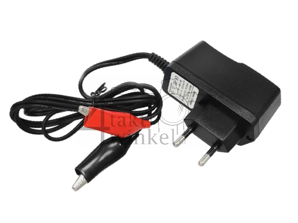 Battery charger, 6 volts