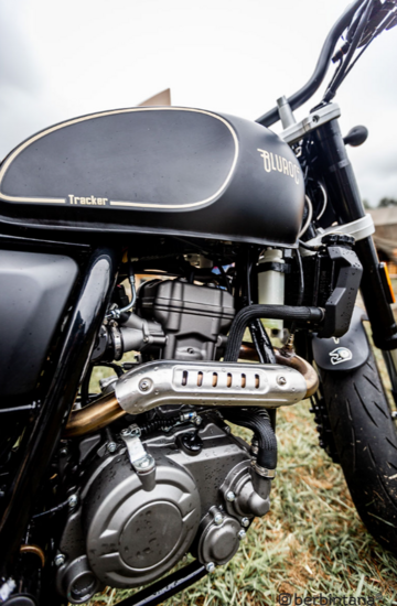 Bluroc Tracker 125cc, euro 5, Gold-Black