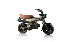 SOLD OUT! Skymax , 50cc, EFI, Limited edition, Palm Beach