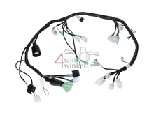 Wiring, harness, Euro 4 / 5, OEM Hanway part