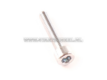 Bolt allen head m6 x 30