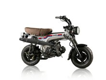 SOLD OUT! Skymax , 50cc, EFI, Limited edition, Barn
