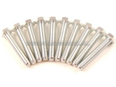 Bolt Hexagon, m6 x 35, key 10, per 10 pieces