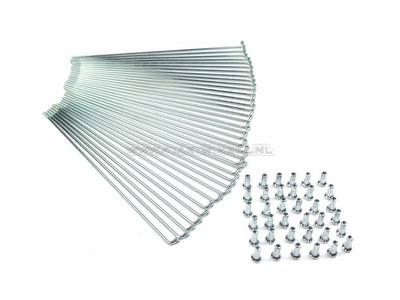 Spokes set, 2.9 x 210mm, galvanized